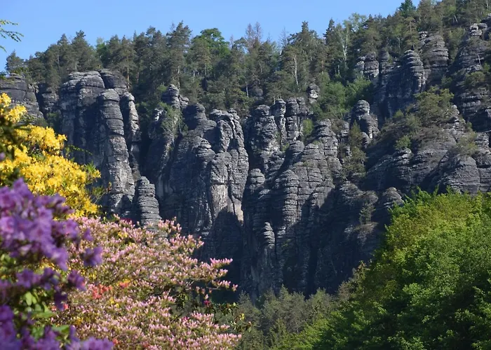 Cosis הונשטיין