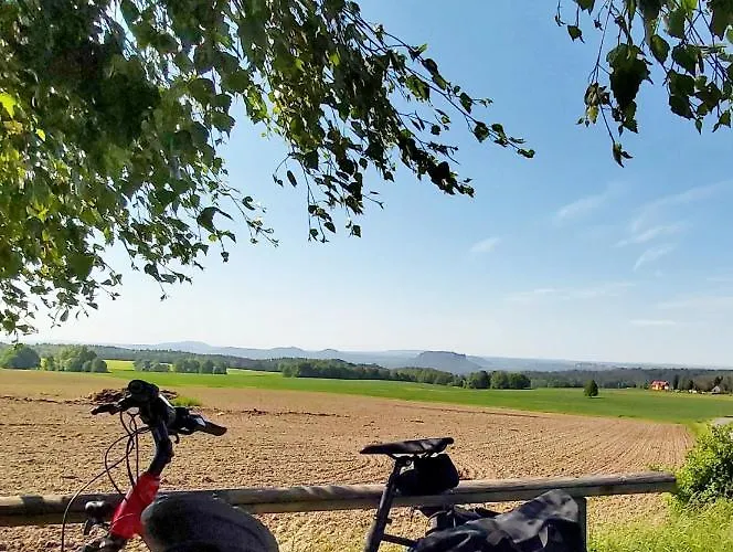 Cosis * הונשטיין