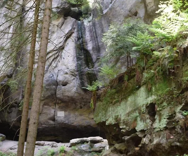 Cosis הונשטיין