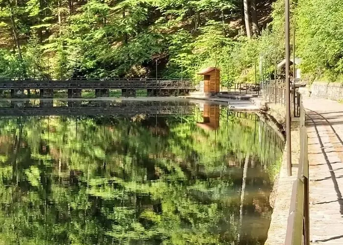 Cosis הונשטיין