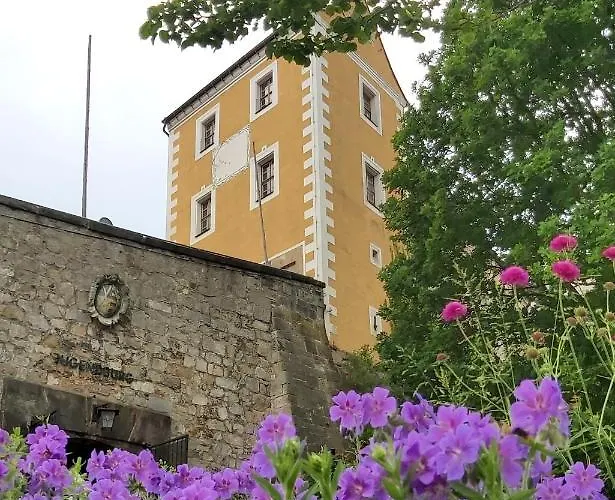 Cosis הונשטיין