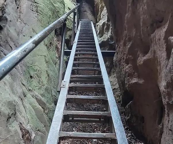 Cosis הונשטיין